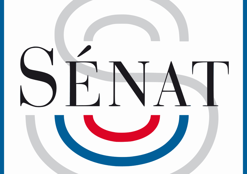 Délégation aux droits des femmes du Sénat: IVG dans le monde avec Anne Légier