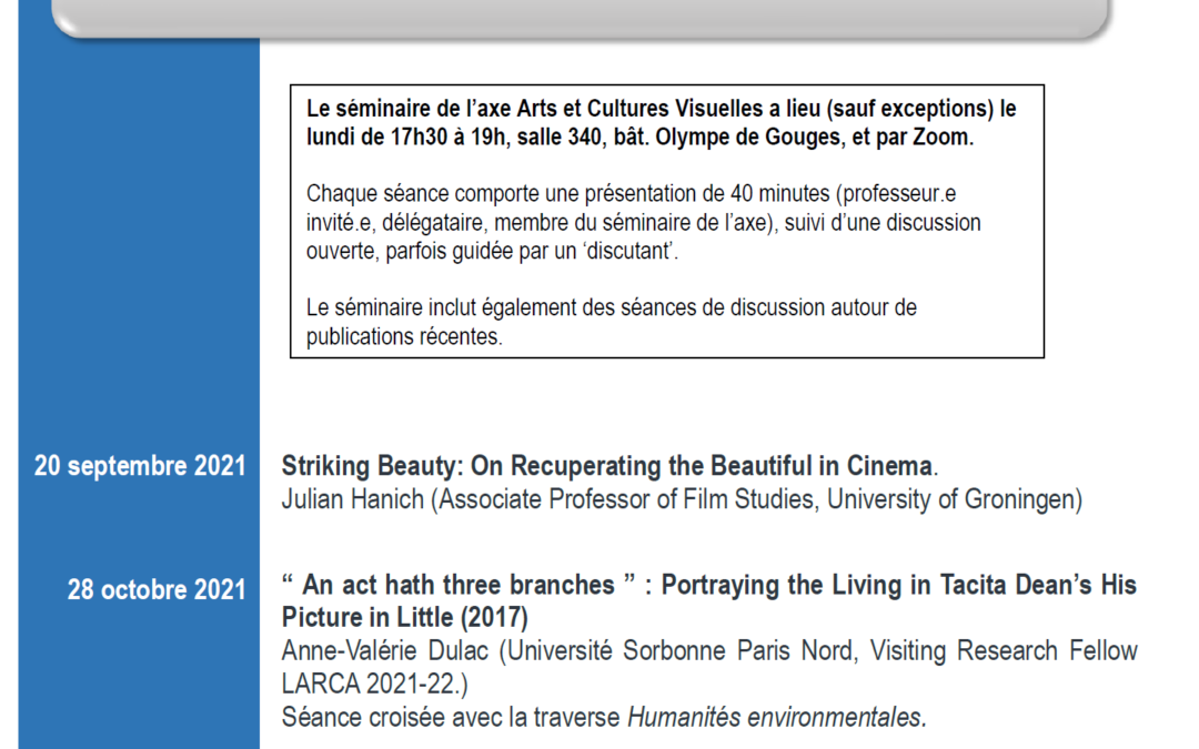 Programme des séminaires 2021-2022 de l’axe Arts et Cultures Visuelles du LARCA @Univ_Paris @LarcaParis