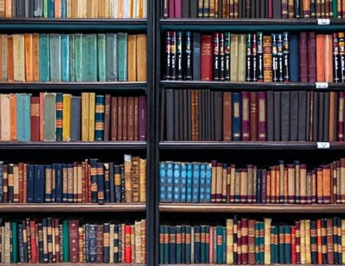 On Decoloniality in Literature and Science: with Sandeep Bakshi (LARCA)   @LarcaParis @Univ_Paris @TheBSLS @Sandeepbak