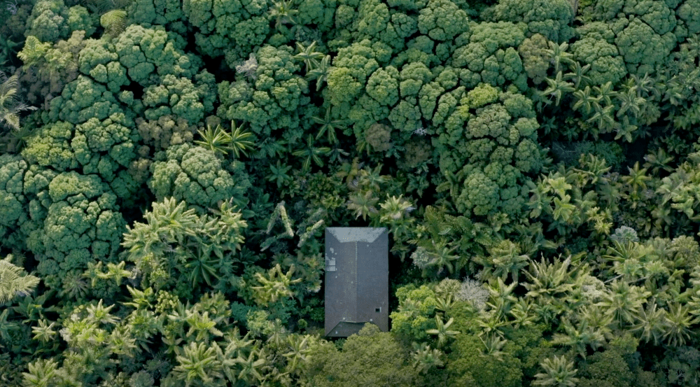 Pasts and Futures of Rewilding – Université Paris Cité, Friday, March 21st & Saturday, March 22nd, 2025