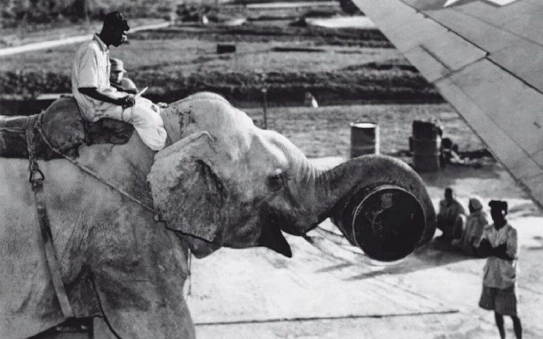 Séminaire L’expérience des techniques : collections, reconstitutions, savoirs et savoir-faire