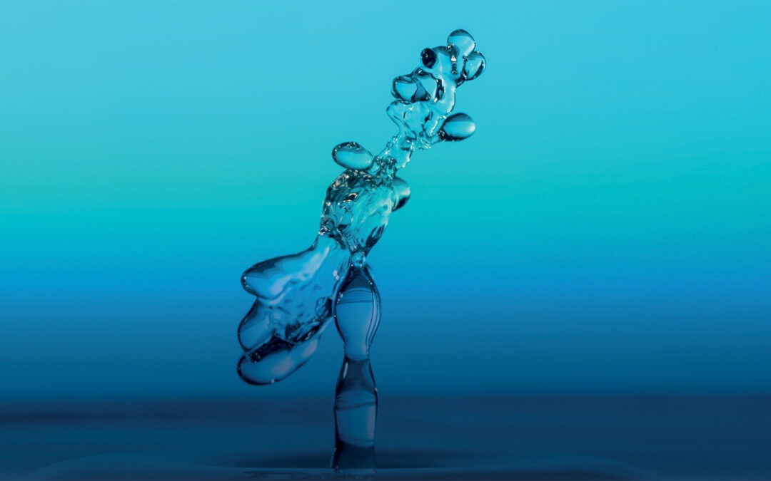 JE Les Qualités de l’eau – 27 mars 2026