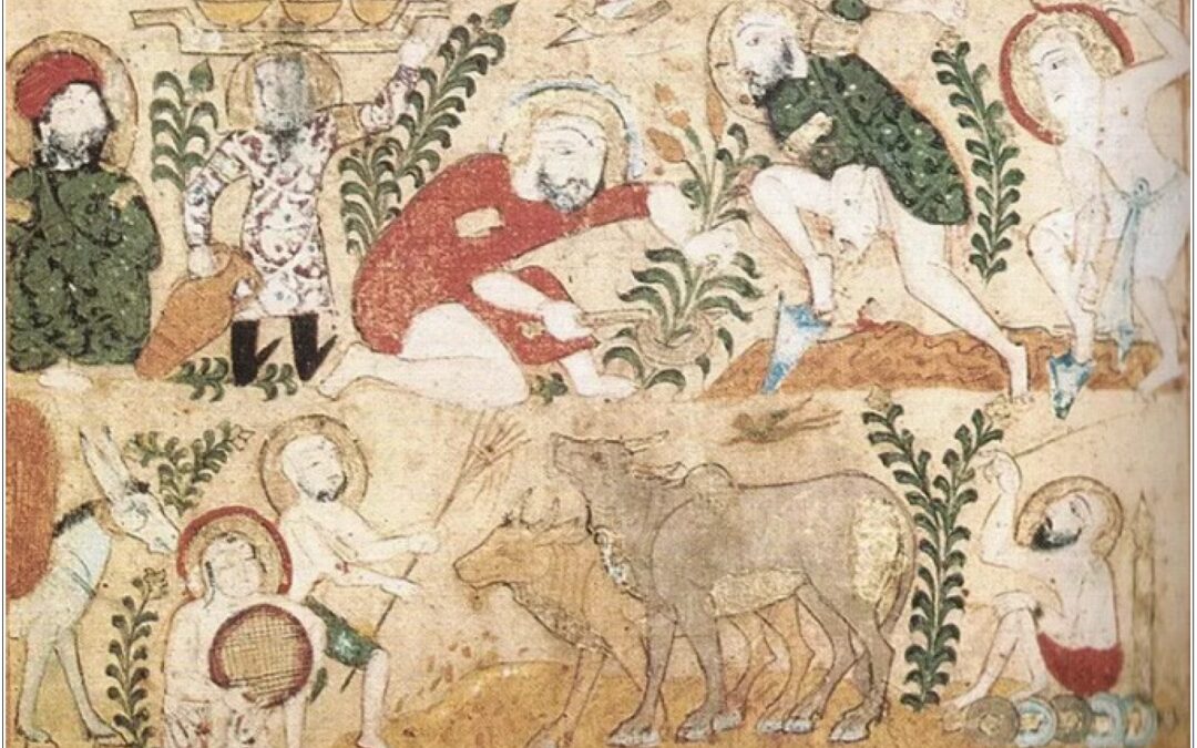 Séminaire Histoire environnementale des mondes islamique pré-modernes : approches interdisciplinaires